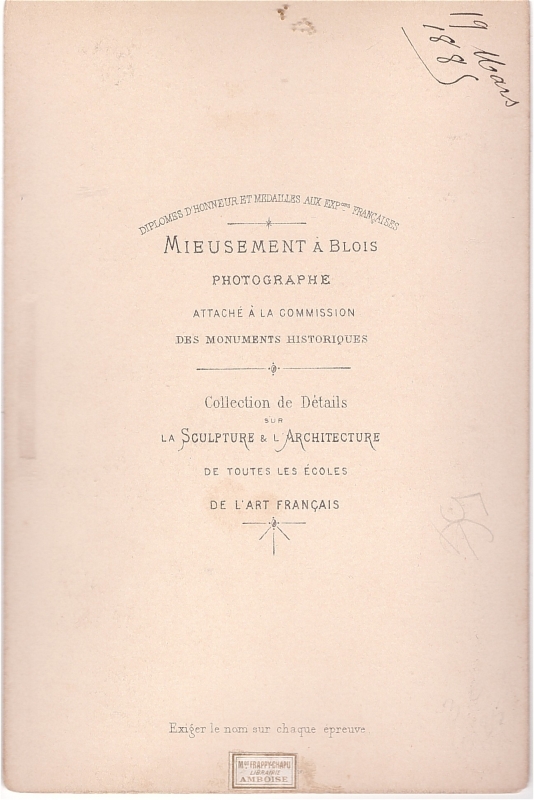 Château d'Amboise vu de la Loire
